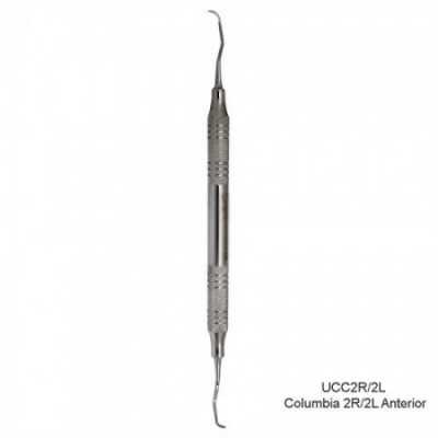 Columbia 2R/2L Anterior